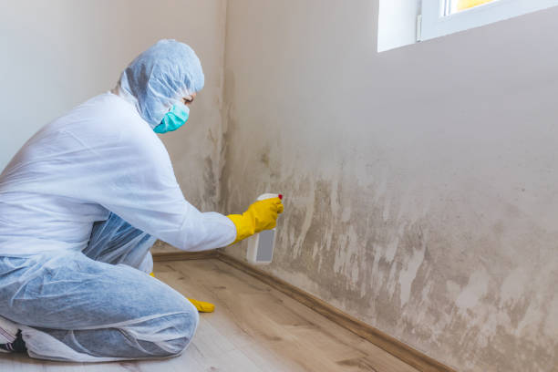 Licensed Basement Mold Remediation service in West Milford, NJ - WQB Mold Removal