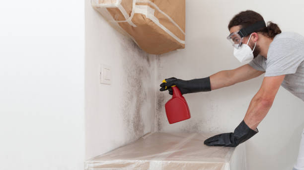Professional Basement Mold Remediation technician working in West Milford, NJ
