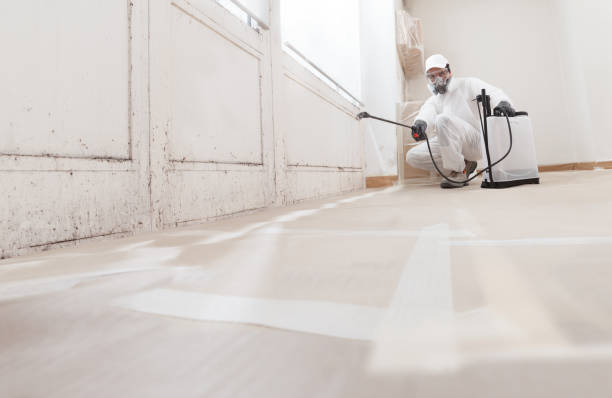 24/7 Emergency Basement Mold Remediation experts in West Milford, NJ