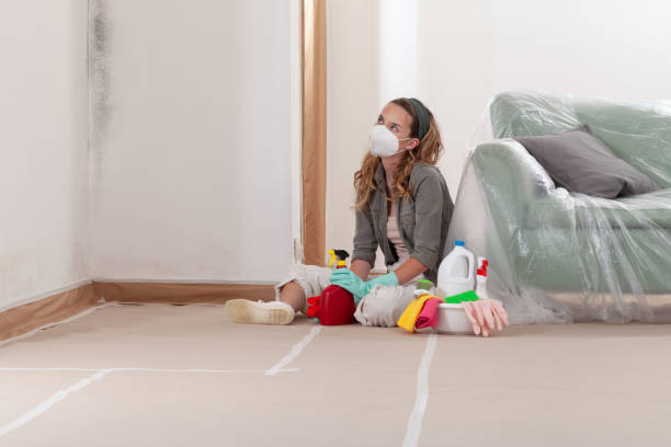 Reliable Basement Mold Remediation contractor in West Milford, NJ by WQB Mold Removal
